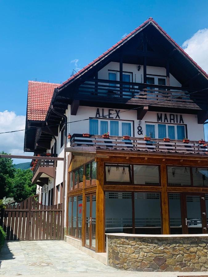 ホテル Alex & Maria Cărpinişu エクステリア 写真